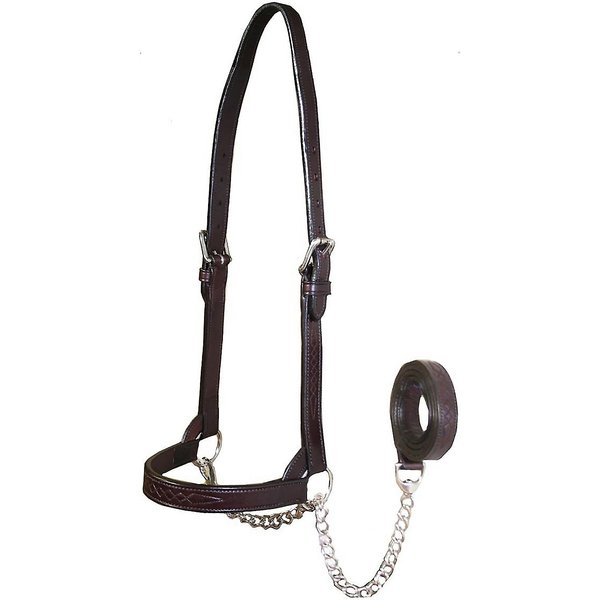 Derby Originals Premium Round Rolled Leather Cattle Show Halter & Chain Lead