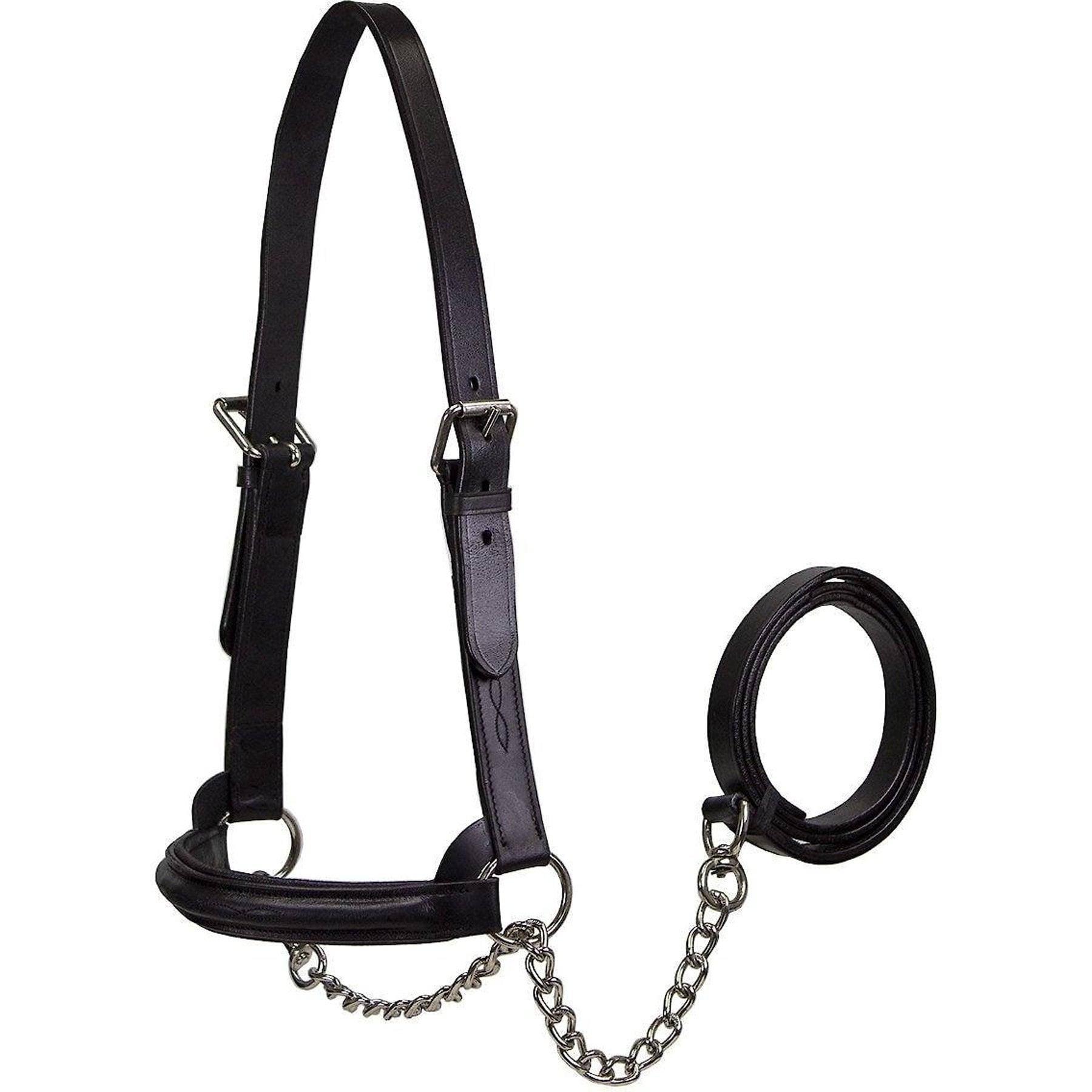 Derby Originals Premium Raised Padded Fancy Stitch Leather Cattle Show Halter & Chain Lead, Black, Large