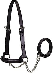 Derby Originals Premium Raised Padded Fancy Stitch Leather Cattle Show Halter & Chain Lead, Black, Small
