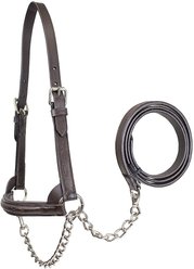 Derby Originals Premium Raised Padded Fancy Stitch Leather Cattle Show Halter & Chain Lead, Havana, Small