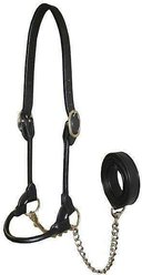 Derby Originals Premium Round Rolled Leather Cattle Show Halter & Chain Lead, Black, Large (Cow)