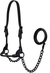Derby Originals Premium Round Rolled Leather Cattle Show Halter & Chain Lead, Black, Large