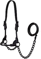 Derby Originals Premium Round Rolled Leather Cattle Show Halter & Chain Lead, Black, Medium