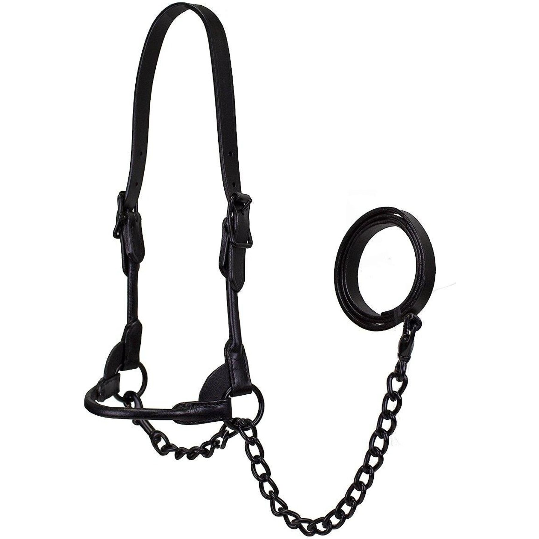 Derby Originals Premium Round Rolled Leather Cattle Show Halter & Chain Lead, Black, Medium