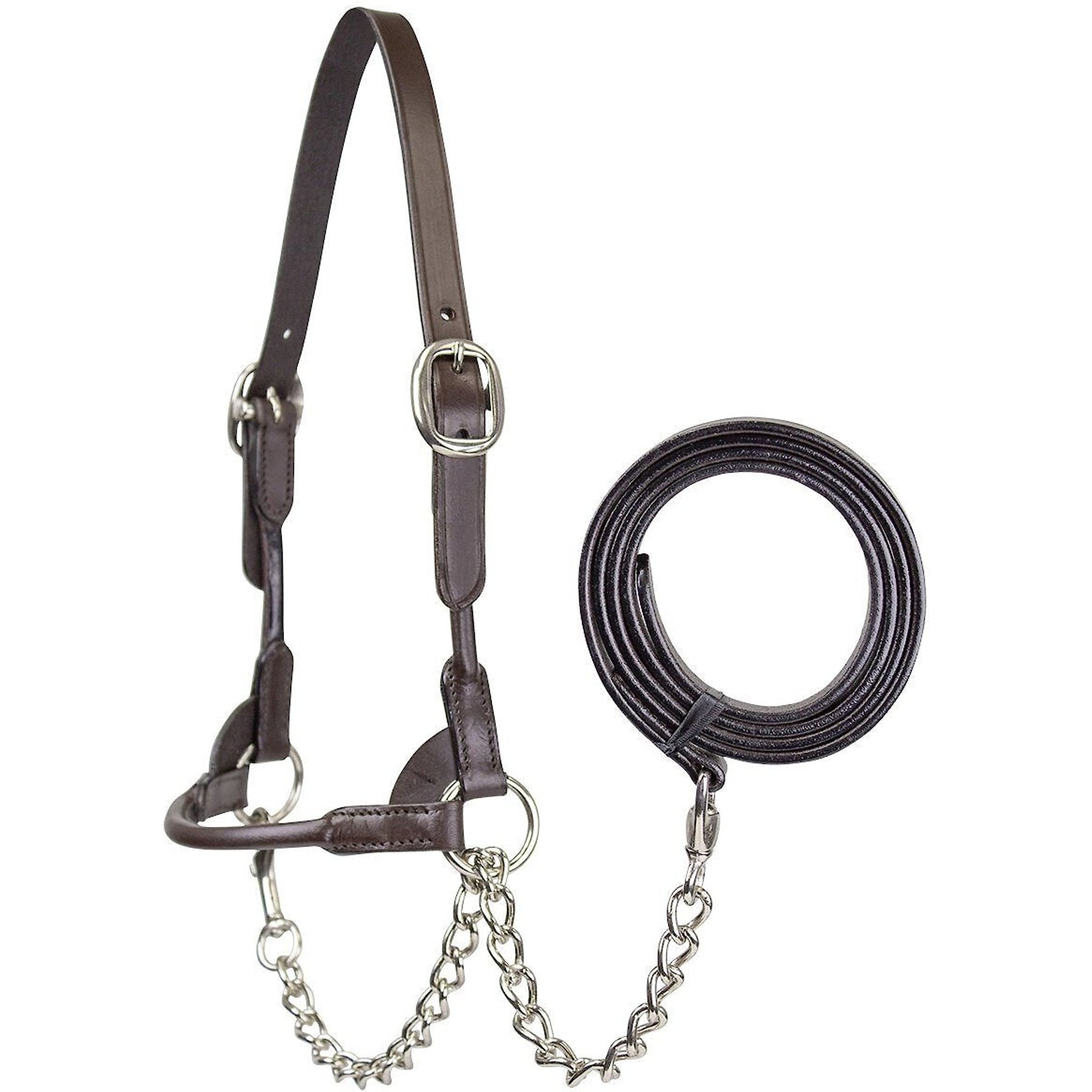 Derby Originals Premium Round Rolled Leather Cattle Show Halter & Chain Lead, Havana, Medium (Heifer)