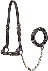 Derby Originals Premium Show Spotted Flat Leather Cattle Show Halter & Chain Lead, Havana, Small