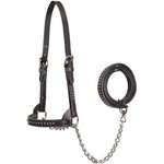Derby Originals Premium Show Spotted Flat Leather Cattle Show Halter & Chain Lead