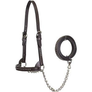 Derby Originals Premium Show Spotted Flat Leather Cattle Show Halter & Chain Lead, Havana, Small
