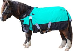Derby Originals Windstorm 1200D Waterproof Ripstop Heavyweight Mini Horse & Pony Winter Turnout Blanket, Turquoise with Black Trim, 64-in