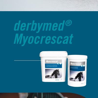Show full view: derbymed Myocrescat Horse Supplement, 2.8-lb bucket slide 3 of 5