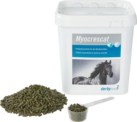 Show full view: derbymed Myocrescat Horse Supplement, 2.8-lb bucket slide 2 of 5