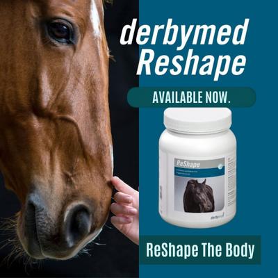 Show full view: derbymed ReShape Horse Supplement, 2.2-lb bucket slide 3 of 4