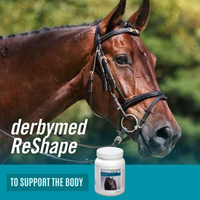 Show full view: derbymed ReShape Horse Supplement, 2.2-lb bucket slide 2 of 4