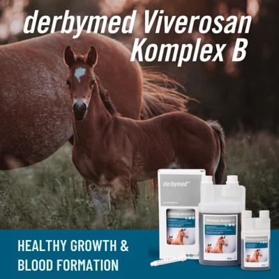 Show full view: derbymed Viverosan Komplex B Horse Supplement, 33-oz bottle slide 2 of 2
