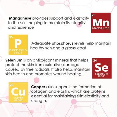 Show full view: Derm-Tabs Extra Strength Liver Flavored Chewable Tablet Skin & Coat Supplement for Dogs, 60 count slide 6 of 9