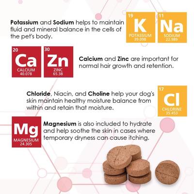 Show full view: Derm-Tabs Extra Strength Liver Flavored Chewable Tablet Skin & Coat Supplement for Dogs, 60 count slide 5 of 9