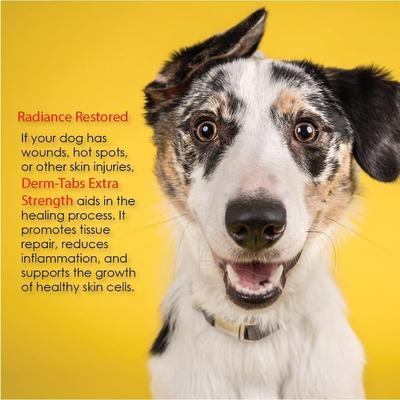 Show full view: Derm-Tabs Extra Strength Liver Flavored Chewable Tablet Skin & Coat Supplement for Dogs, 60 count slide 7 of 9