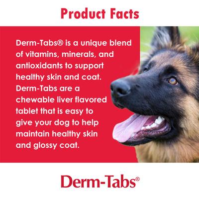 Show full view: Derm-Tabs Regular Strength Liver Flavored Chewable Tablet Skin & Coat Supplement for Dogs, 120 count slide 4 of 10