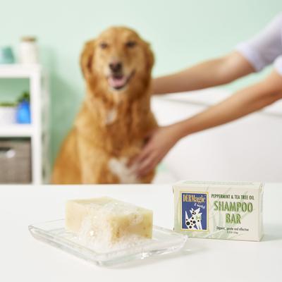 Show full view: DERMagic Peppermint & Tea Tree Oil Dog Shampoo Bar, 3.75-fl oz slide 4 of 9