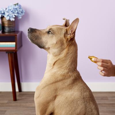 Show full view: Dermoscent Essential 6 Spot-On Small Breed Dog Skin Care Treatment, 4 count slide 6 of 10