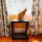 Show in main carousel: Designer Pet Products Bailey Cat Scratcher End Table, Espresso slide 5 of 10