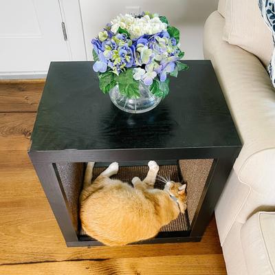 Show full view: Designer Pet Products Bailey Cat Scratcher End Table, Espresso slide 8 of 10