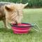 Show in main carousel: Dexas Popware for Pets Collapsible Travel Non-Skid Silicone Dog & Cat Bowl with Carabiner, Pink, 2-cup slide 2 of 6