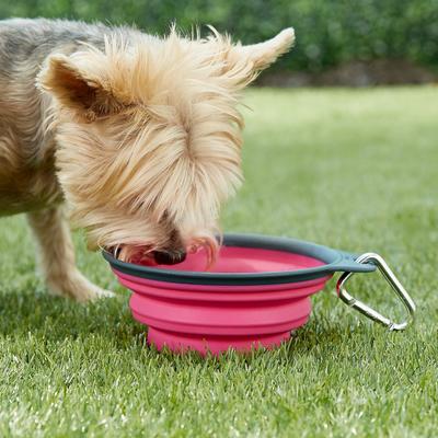 Show full view: Dexas Popware for Pets Collapsible Travel Non-Skid Silicone Dog & Cat Bowl with Carabiner, Pink, 2-cup slide 2 of 6