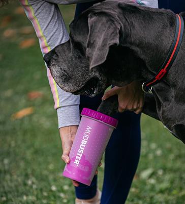 Show full view: Dexas Popware for Pets Dexas MudBuster Portable Dog Paw Cleaner, Fuchsia, Large slide 3 of 6