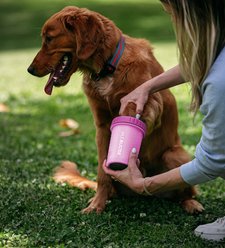 Dexas Popware for Pets Dexas MudBuster Portable Dog Paw Cleaner, Fuchsia, Medium slide 2 of 2