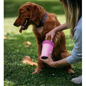 Dexas Popware for Pets Dexas MudBuster Portable Dog Paw Cleaner, Fuchsia, Medium