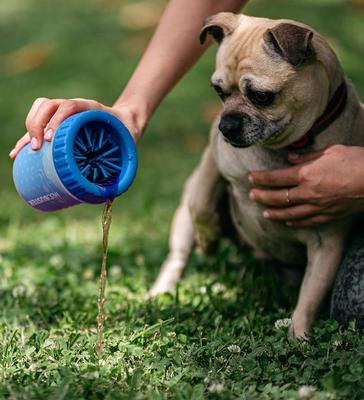 Show full view: Dexas Popware for Pets Dexas MudBuster Portable Dog Paw Cleaner, Pro Blue, Petite slide 3 of 6