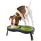 Show in main carousel: Dexas Popware for Pets Double Non-Skid Elevated Dog & Cat Bowls, Green, 2.5-cup slide 2 of 5