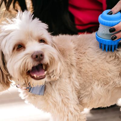 Show full view: Dexas Popware for Pets ScrubBuster Dog Brush, Pro Blue slide 4 of 4