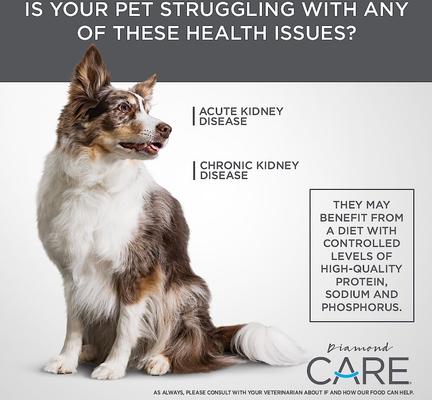 Show full view: Diamond Care RX Renal Formula Adult Dry Dog Food, 25-lb bag slide 7 of 10