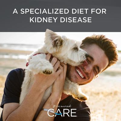 Show full view: Diamond Care RX Renal Formula Adult Dry Dog Food, 8-lb bag slide 6 of 10