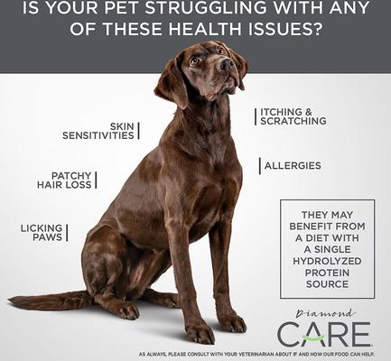 Show full view: Diamond Care Sensitive Skin Formula Adult Limited Ingredient Grain-Free Dry Dog Food, 8-lb bag slide 7 of 11