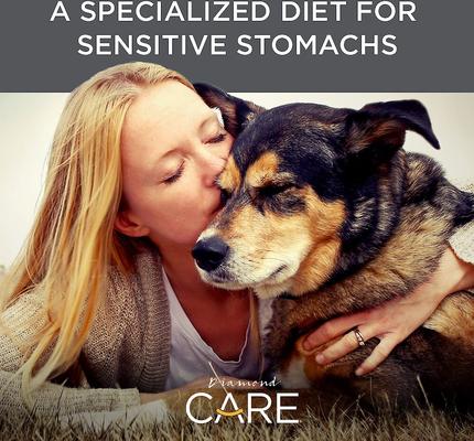Show full view: Diamond Care Sensitive Stomach Formula Adult Grain-Free Dry Dog Food, 25-lb bag slide 6 of 11