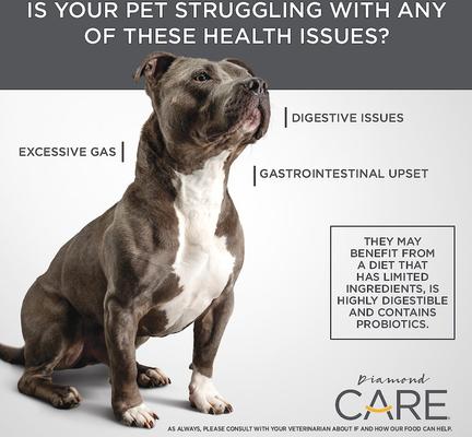 Show full view: Diamond Care Sensitive Stomach Formula Adult Grain-Free Dry Dog Food, 25-lb bag slide 7 of 11