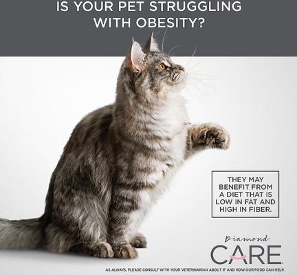 Show full view: Diamond Care Weight Management Formula Adult Grain-Free Dry Cat Food, 15-lb bag slide 7 of 11