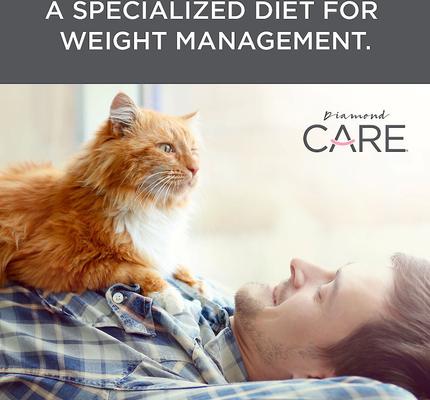 Show full view: Diamond Care Weight Management Formula Adult Grain-Free Dry Cat Food, 6-lb bag slide 6 of 11