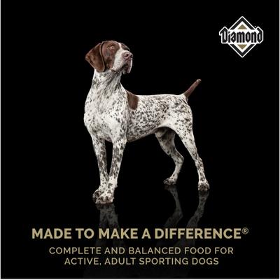 Show full view: Diamond High Energy 24/20 for Highly Active, Sporting & Working Adult Dogs Dry Food, 100-lb bundle slide 6 of 8