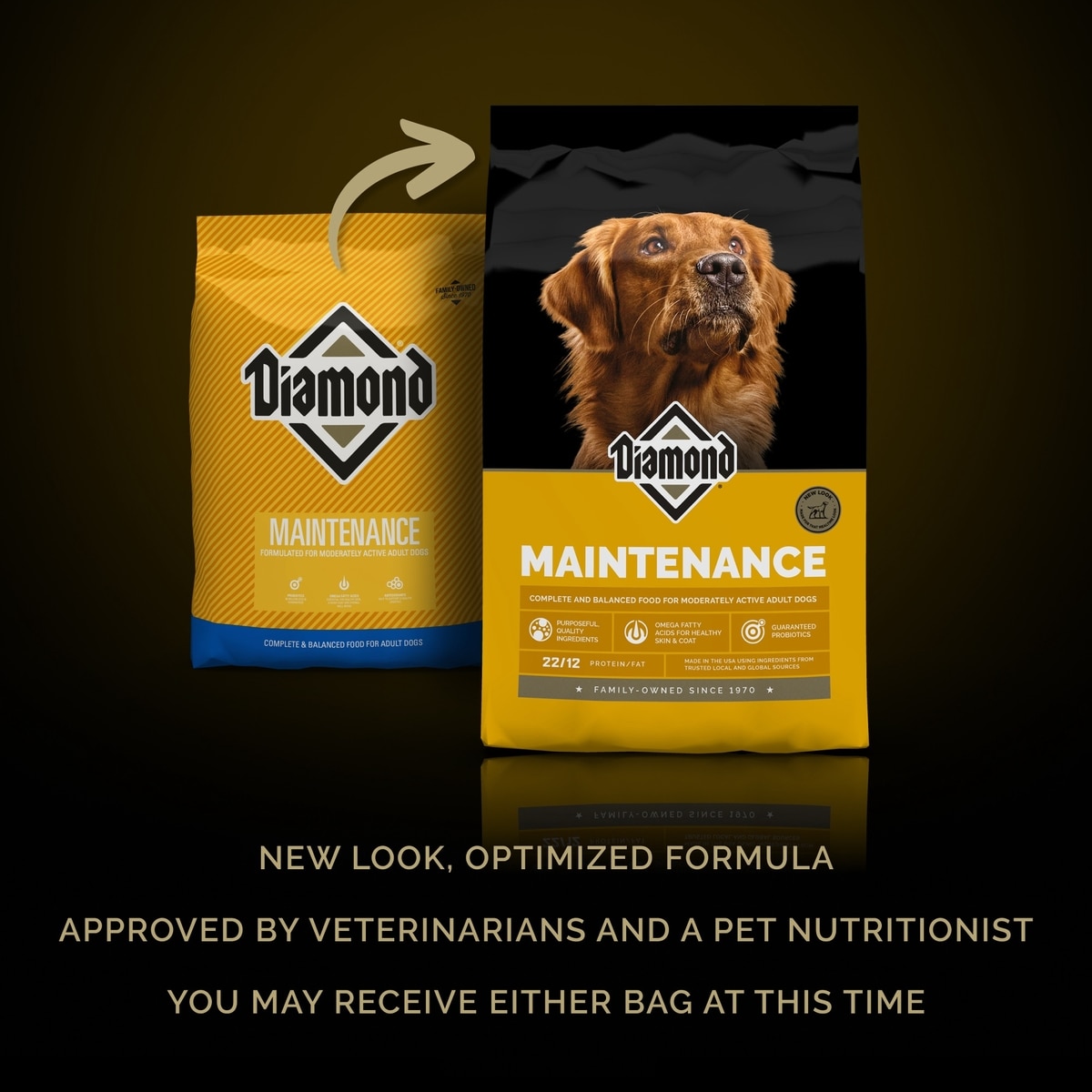 DIAMOND Maintenance 22/12 for Moderately Active Adult Dogs Dry Food, 80 ...