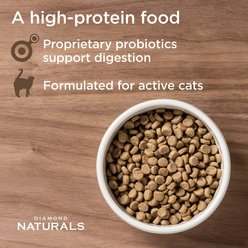 Diamond Naturals Active Cat All Life Stages High Protein Chicken Meal & Rice Dry Cat Food, 6-lb bag slide 2 of 5