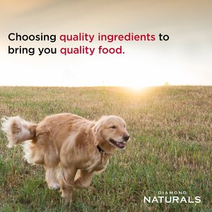 Diamond Naturals Chicken & Rice Formula All Life Stages Dry Dog Food, 40-lb bag