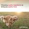Show in main carousel: Diamond Naturals Large Breed Adult Lamb Meal & Rice Formula Dry Dog Food, 80-lb bundle slide 6 of 10