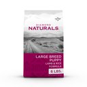 Diamond Naturals Large Breed Puppy Formula Dry Dog Food, 6-lb bag