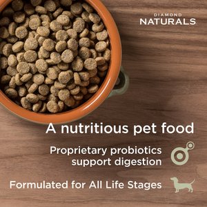 Diamond Naturals Skin & Coat Formula All Life Stages Dry Dog Food, 30-lb bag