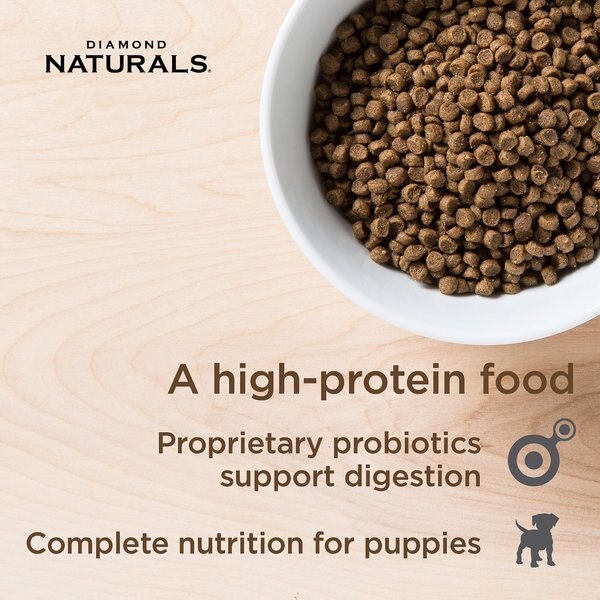 Precise Holistic Complete Small & Medium Breed Puppy Formula Dry Dog Food