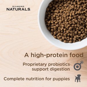 Diamond Naturals Small & Medium Breed Puppy High Protein Chicken & Rice Formula Dry Dog Food, 6-lb bag
